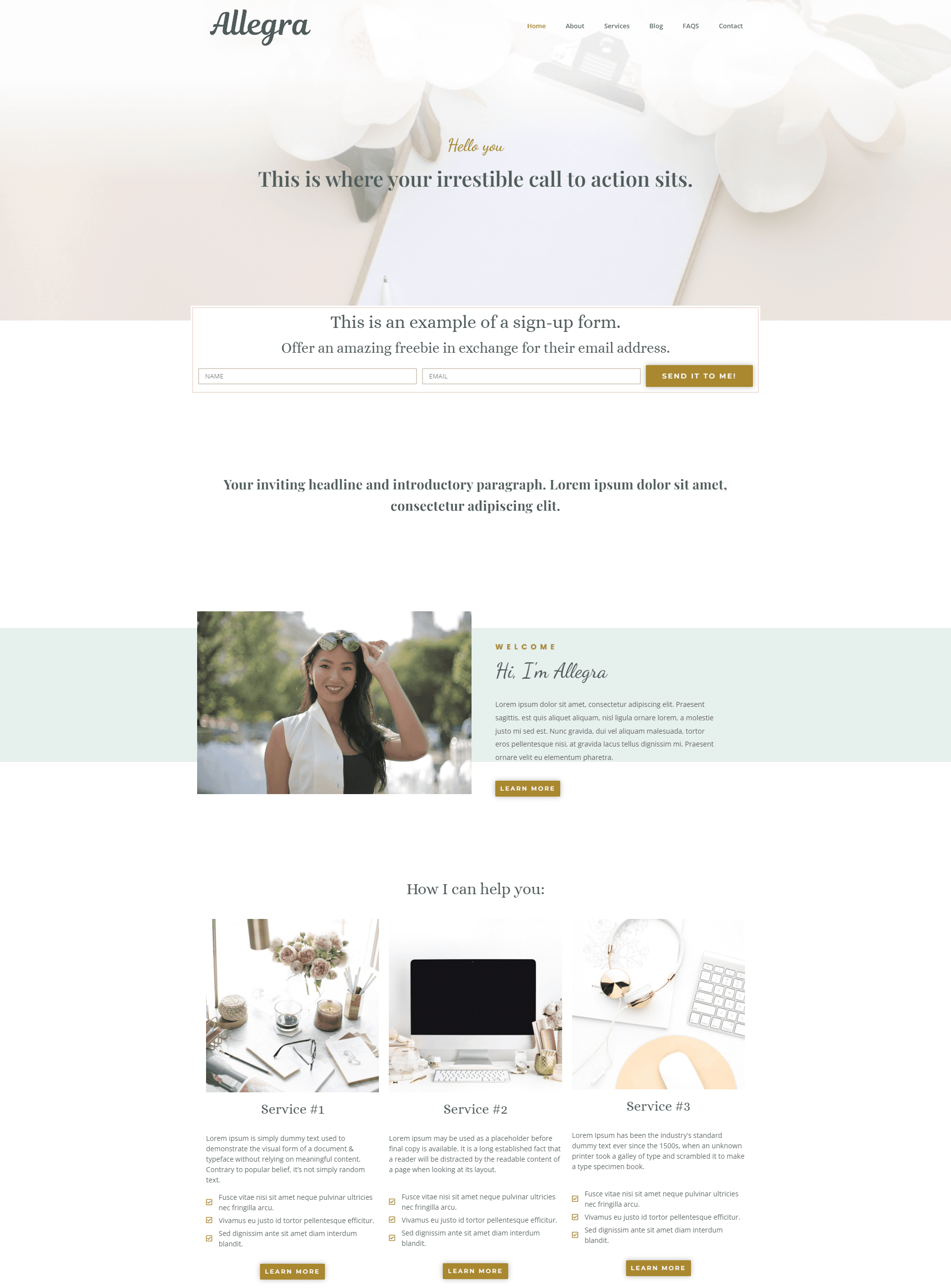 Mellony Web Designs-Portfolio example of a feminine 5 page website with a blog